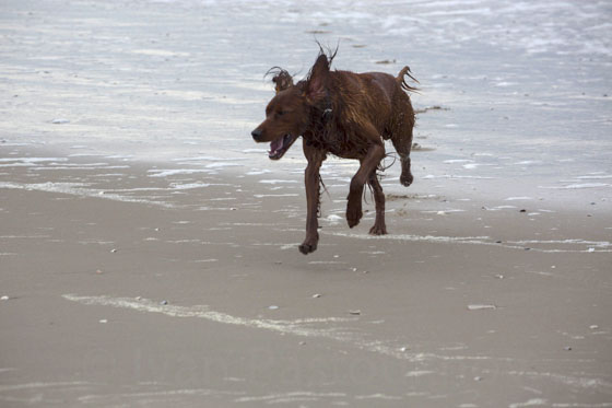 Le Touquet Paris-plage